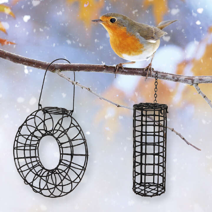 vogel steht auf einen ast